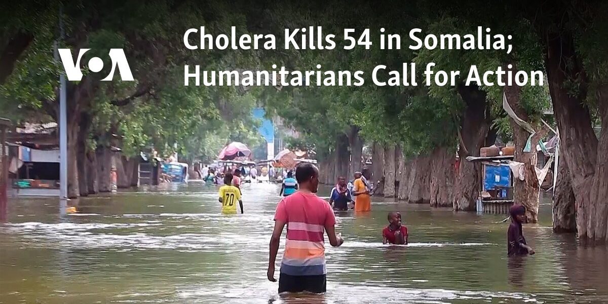 At least 54 people have died from cholera in Somalia, prompting calls for action from humanitarian groups.