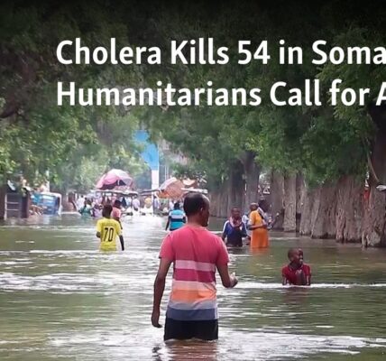 At least 54 people have died from cholera in Somalia, prompting calls for action from humanitarian groups.