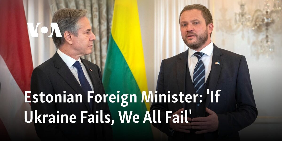 Estonian Foreign Minister: 'If Ukraine Fails, We All Fail'