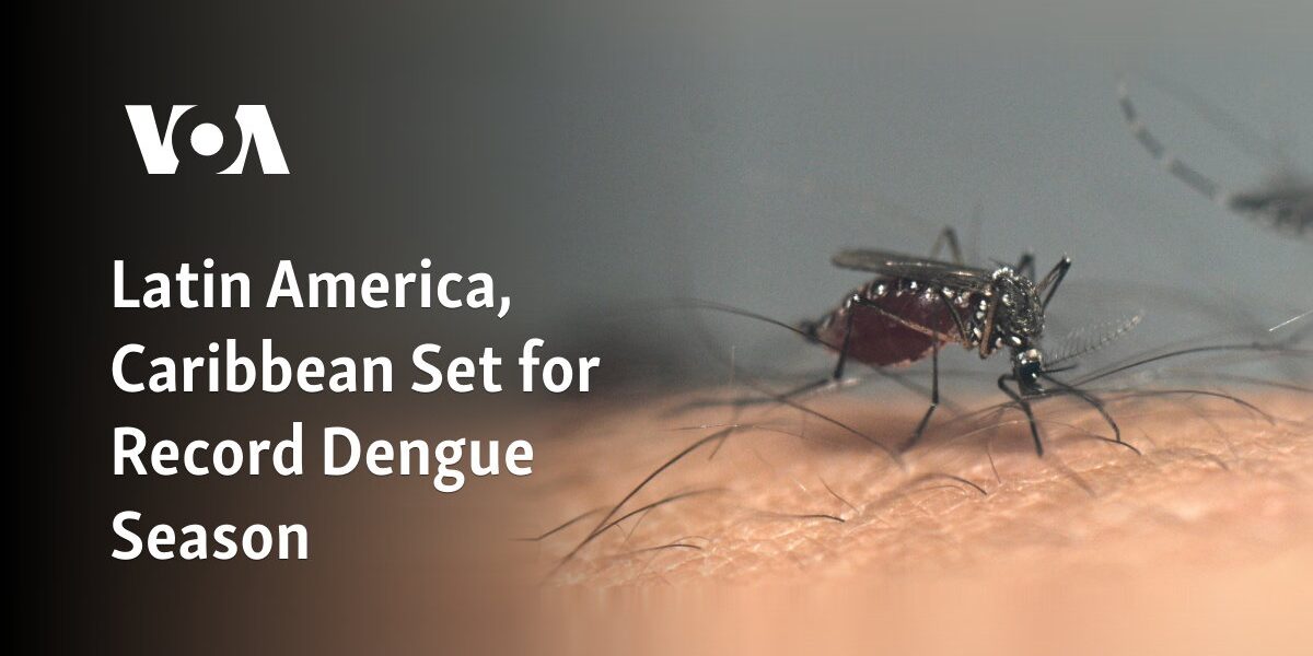 Latin America, Caribbean Set for Record Dengue Season