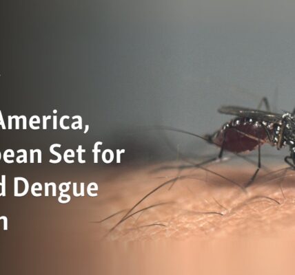 Latin America, Caribbean Set for Record Dengue Season