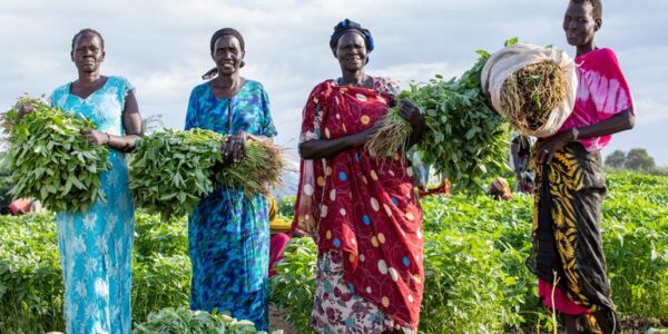 New $1.4 billion plan to support South Sudanese refugees