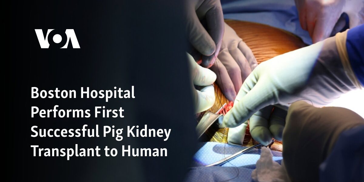 The Boston Hospital has successfully completed the first-ever transplant of a pig kidney to a human patient.