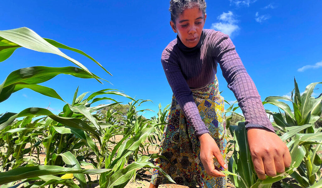 The key to achieving financial independence in southern Madagascar is water cultivation.