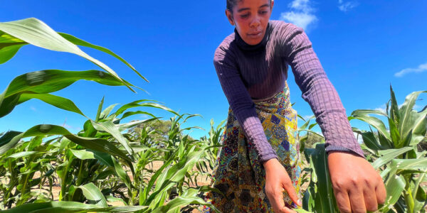 The key to achieving financial independence in southern Madagascar is water cultivation.