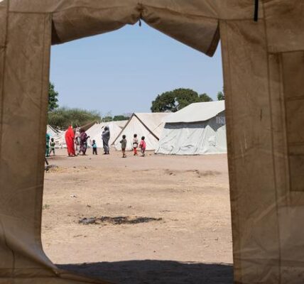 United Nations officials informed the Security Council that conflict is the main catalyst behind the current hunger crisis in Sudan.