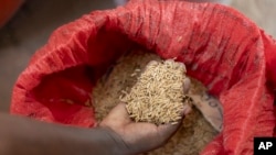 West African Project Helps Women Farmers Claim Their Rights, Land