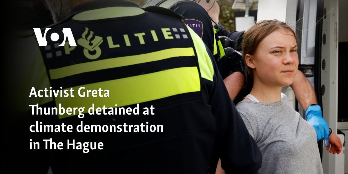 Activist Greta Thunberg detained at climate demonstration in The Hague