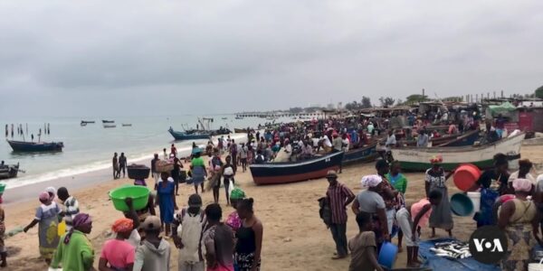 Angolan fishermen blame Chinese trawlers for declining fish stock