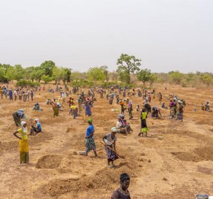 Burkina Faso: UN rights office deeply alarmed at reported killing of 220 villagers