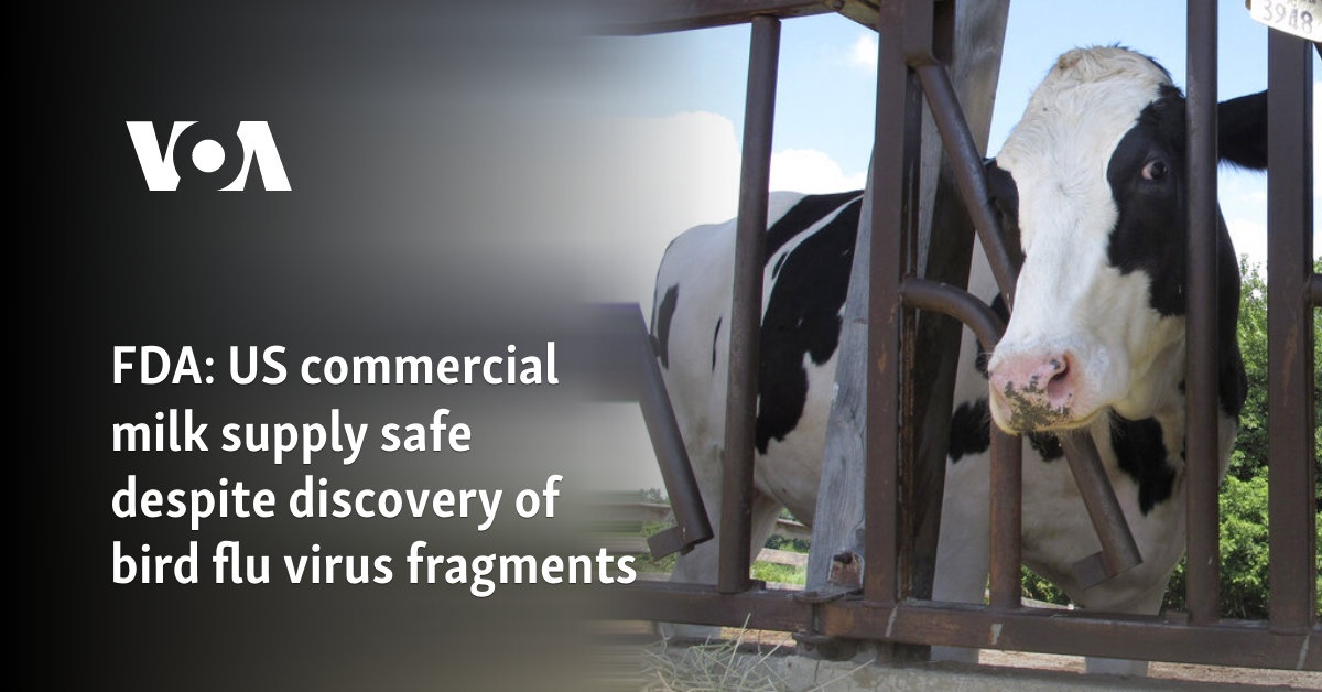 FDA: US commercial milk supply safe despite discovery of bird flu virus fragments