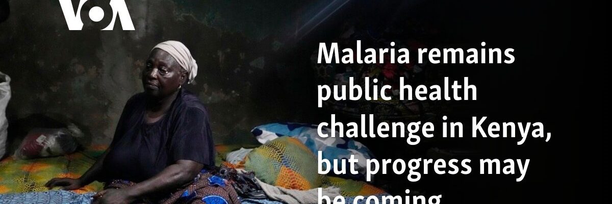 Malaria remains public health challenge in Kenya, but progress may be coming