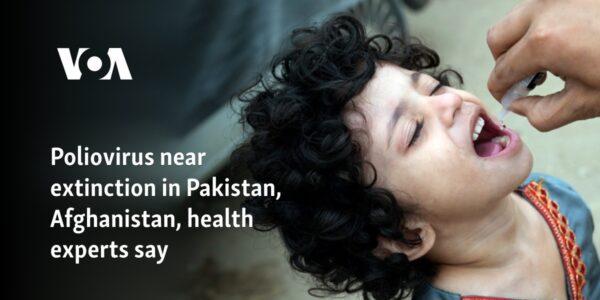 Poliovirus near extinction in Pakistan, Afghanistan, health experts say