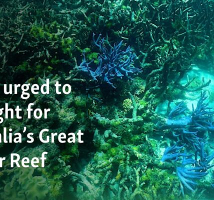 Public urged to join fight for Australia’s Great Barrier Reef