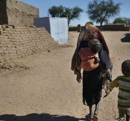 Sudan: Security Council members call for immediate halt to military escalation in El Fasher