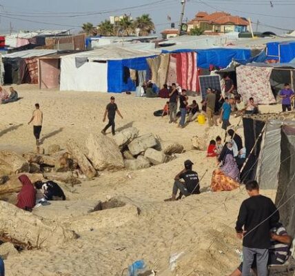 Amid ongoing Israeli incursions into Gaza, aid facilities shut ‘one after another’