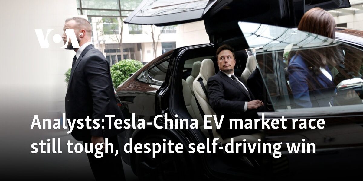 Analysts: Tesla-China EV market race still tough, despite self-driving win