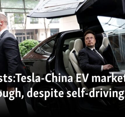 Analysts: Tesla-China EV market race still tough, despite self-driving win