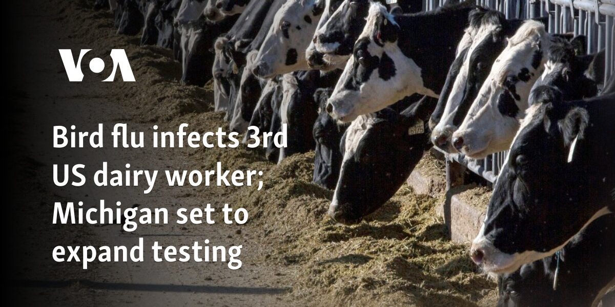 Bird flu infects 3rd US dairy worker; Michigan set to expand testing