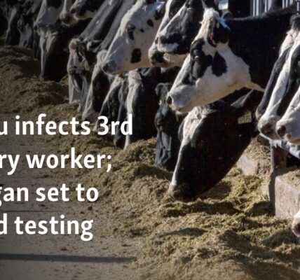 Bird flu infects 3rd US dairy worker; Michigan set to expand testing