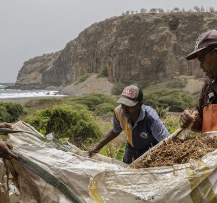 Cabo Verde beats back climate change through South-South cooperation