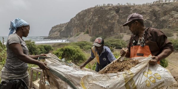 Cabo Verde beats back climate change through South-South cooperation