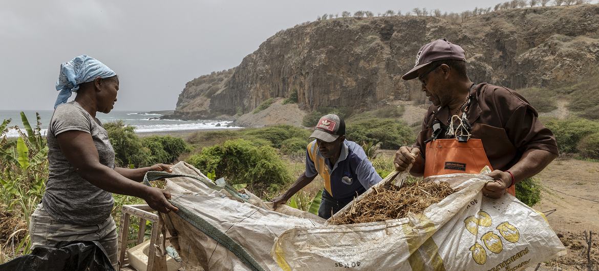 Cabo Verde beats back climate change through South-South cooperation