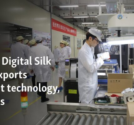 China's Digital Silk Road exports internet technology, controls