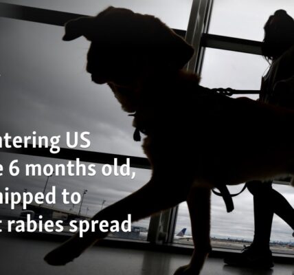 Dogs entering US must be 6 months old, microchipped to prevent rabies spread