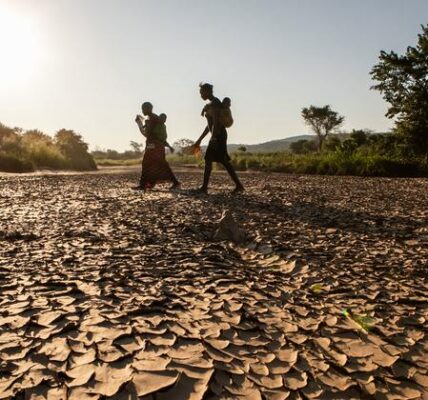 Droughts and floods threaten ‘humanitarian catastrophe’ across southern Africa