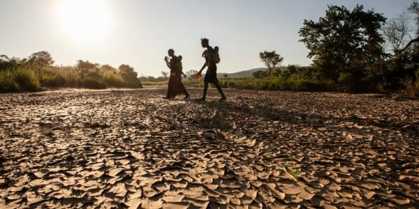 Droughts and floods threaten ‘humanitarian catastrophe’ across southern Africa