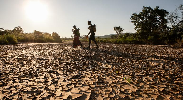 Droughts and floods threaten ‘humanitarian catastrophe’ across southern Africa