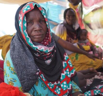 Funding is needed to support Sudanese refugees in Chad: UNHCR