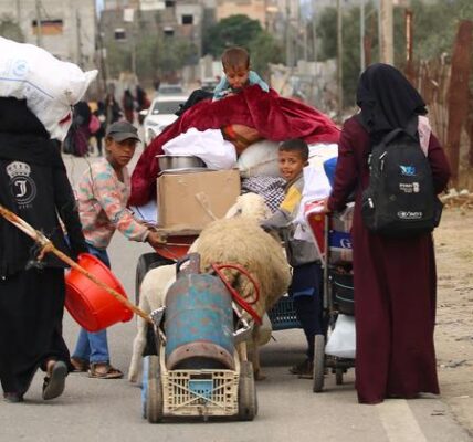 Gaza: Nearly 800,000 now displaced from Rafah