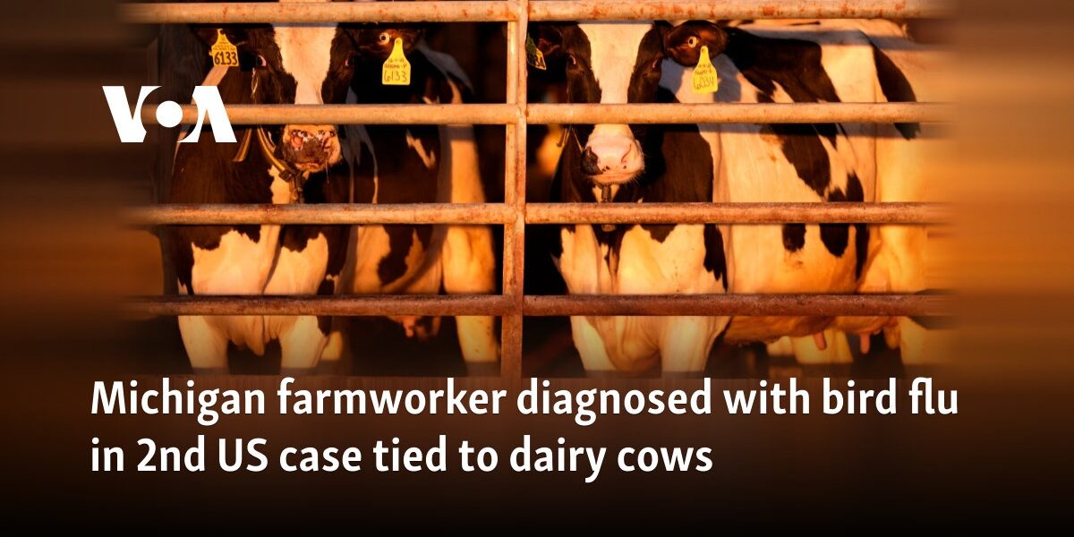 Michigan farmworker diagnosed with bird flu in 2nd US case tied to dairy cows