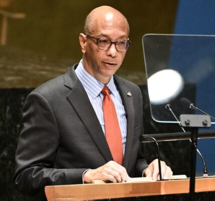 Palestine: General Assembly discusses failed UN membership bid