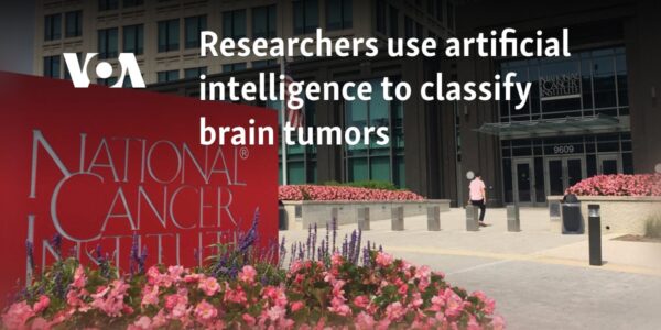 Researchers use artificial intelligence to classify brain tumors