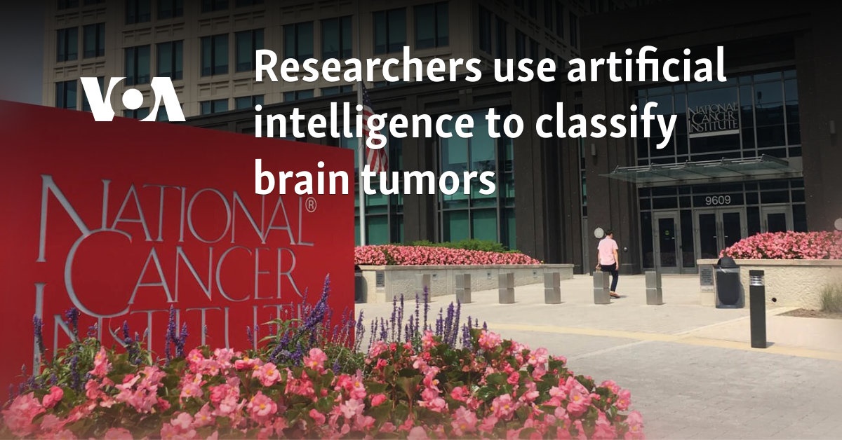 Researchers use artificial intelligence to classify brain tumors