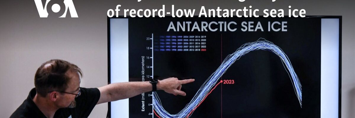 Study: Climate change key driver of record-low Antarctic sea ice