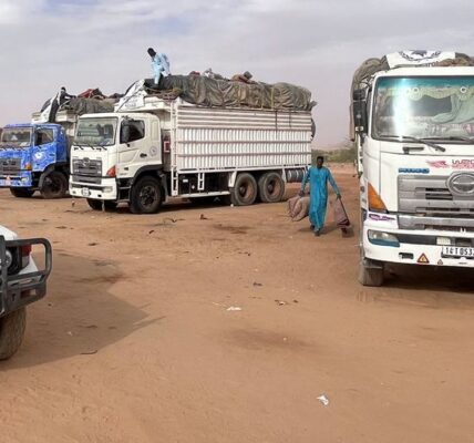 Sudan: Under siege, El Fasher teeters on the brink of famine