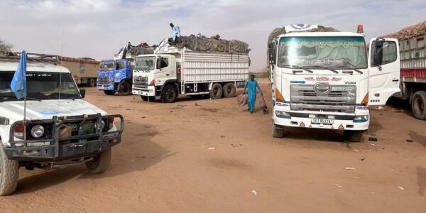 Sudan: Under siege, El Fasher teeters on the brink of famine
