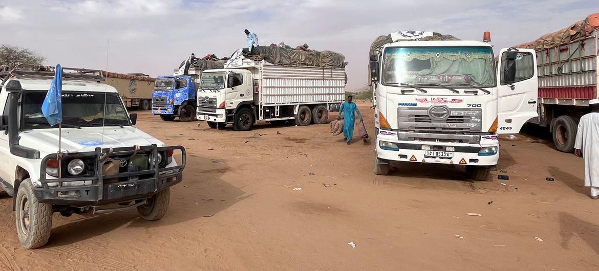 Sudan: Under siege, El Fasher teeters on the brink of famine