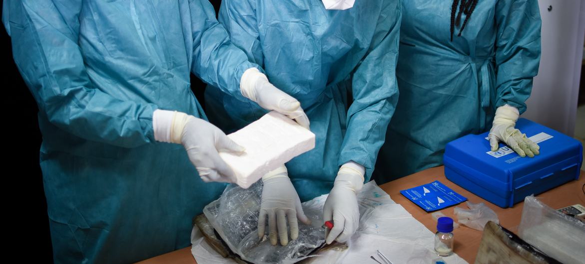 Experts examine cocaine in Guinea-Bissau. (file)