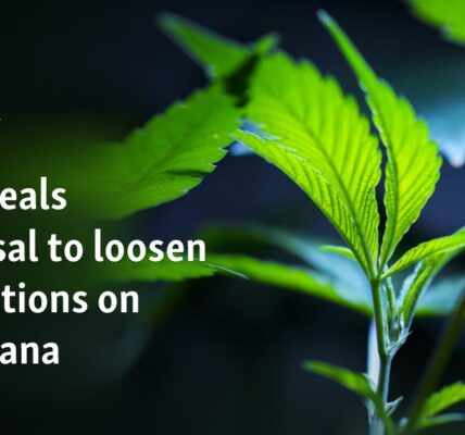 US reveals proposal to loosen restrictions on marijuana