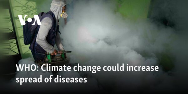 WHO: Climate change could increase spread of diseases