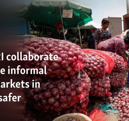 AU, ILRI collaborate to make informal food markets in Africa safer