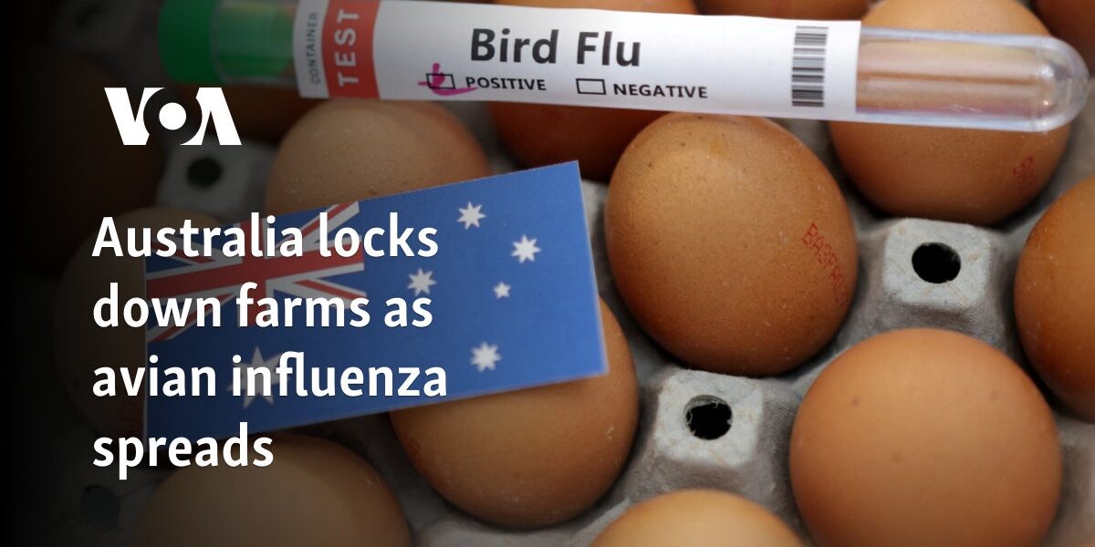 Australia locks down farms as avian influenza spreads