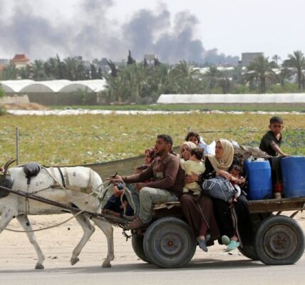 Ongoing war destroying social fabric in Gaza: Aid official