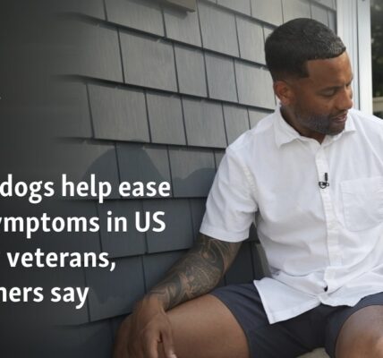 Service dogs help ease PTSD symptoms in US military veterans, researchers say