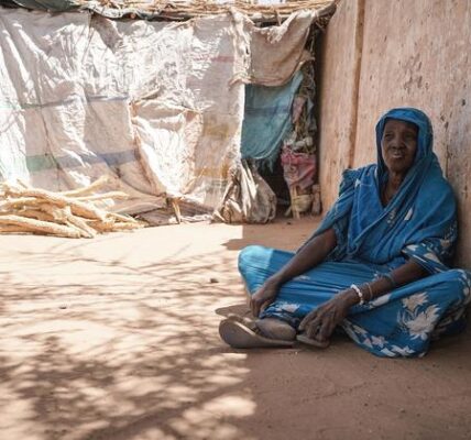 Sudan: WHO appalled by horrific attack on El Fasher’s maternity hospital